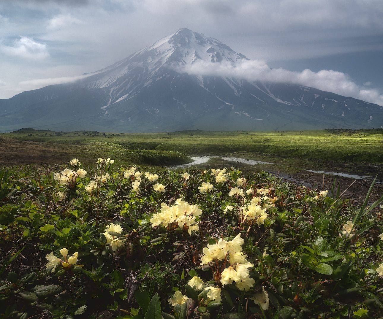 , Владимир Ляпин