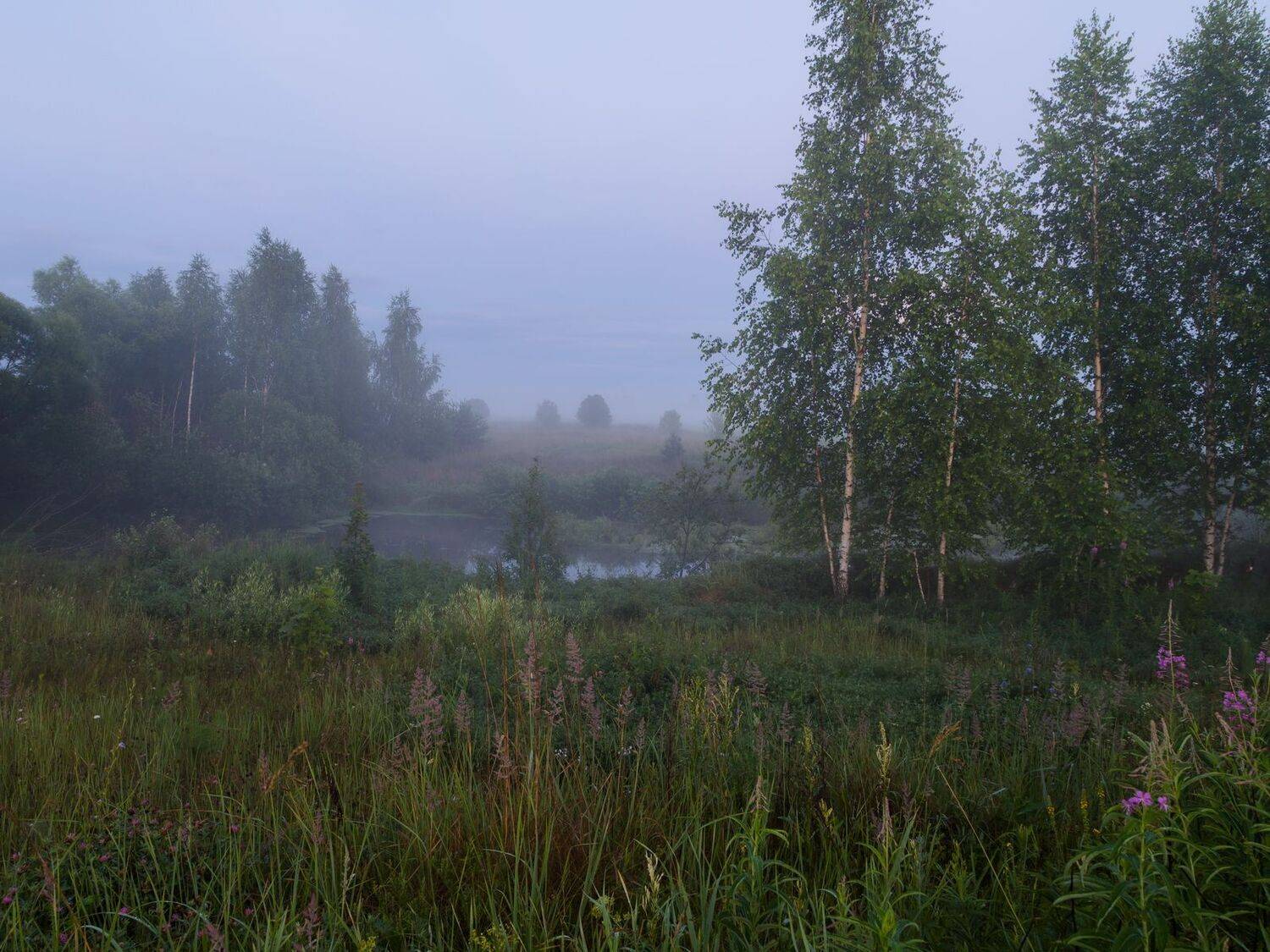 туман, ночь, река, пейзаж, природа, Юрий Морозов