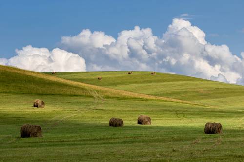 Летние зарисовки ...