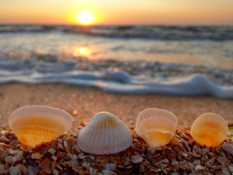 утро,азов,море,sunrise,sun,landscape,вода,лето,арабатка,восход,ракушки,контровый,свет,цвет,sea,волны,солнце,берег Утро нового дня  фото превью