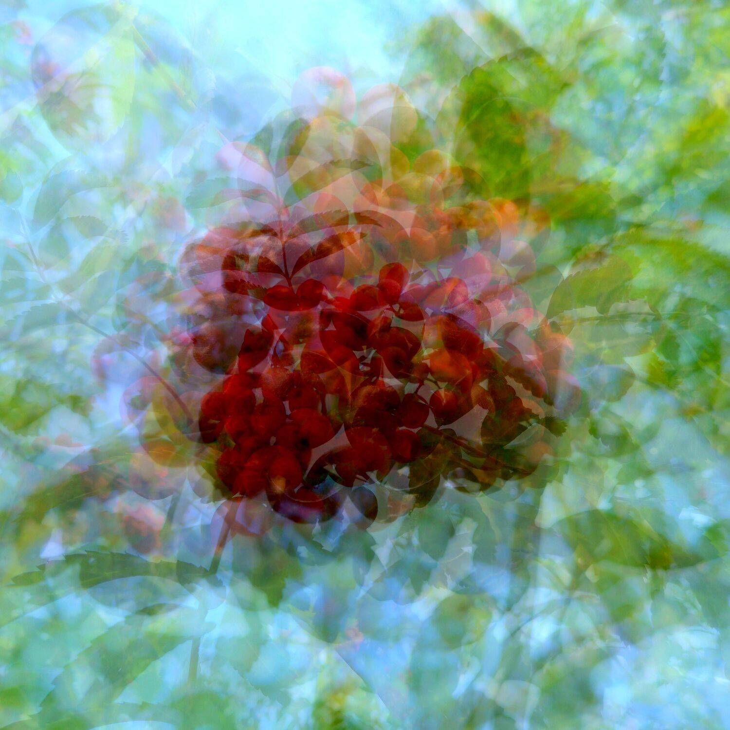 , Антон Лаба