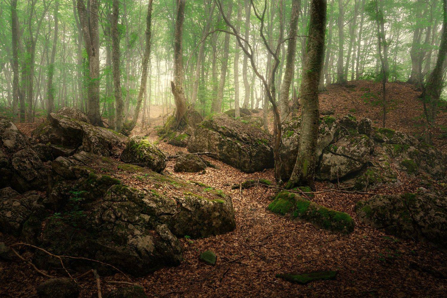 , Григорий Бельцев