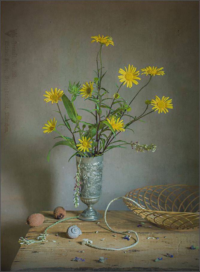 , Stein Georg