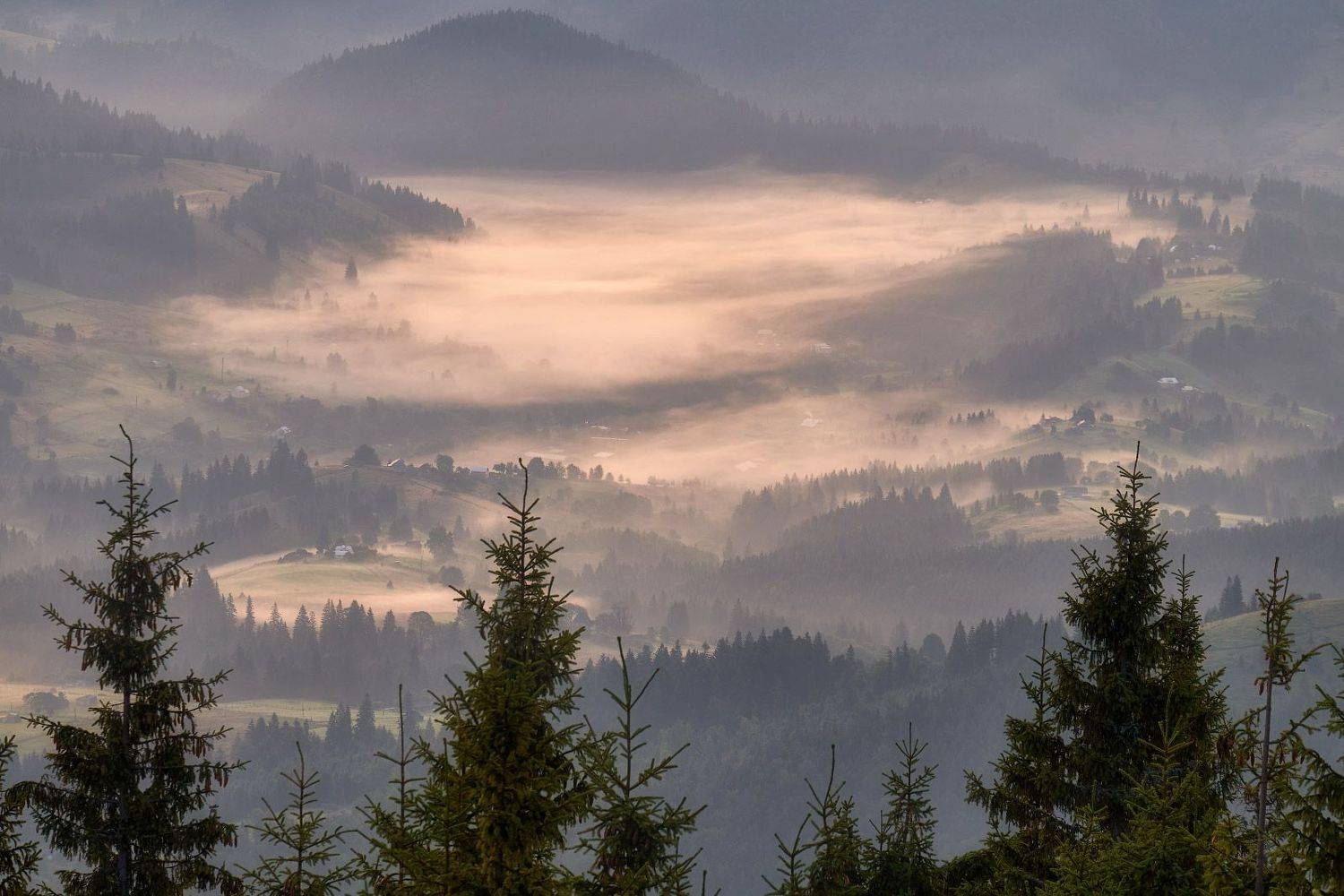 #nature, #туман, #лес, #oсень, #украина, #карпаты, #пейзаж, #закат, #туман, #солнце, #свет, #mountain range, #mountains, #туризм, #лес, #nature, #природа,, Леонид Морозов