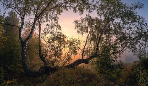 Встречая рассвет