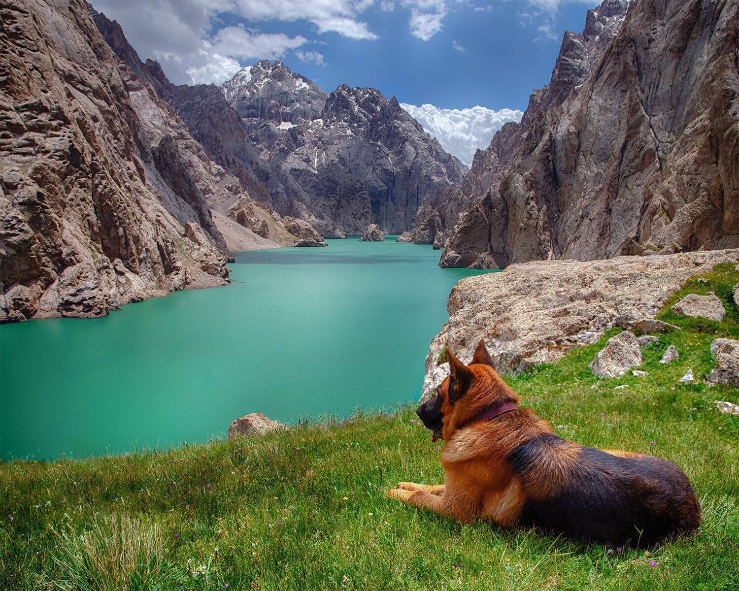 кыргызстан, горы, кель-суу(3600м), Элина Магалимова