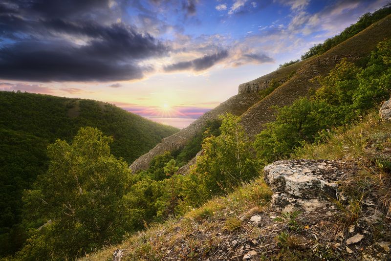 Знойным летом в Жигулях. фото превью