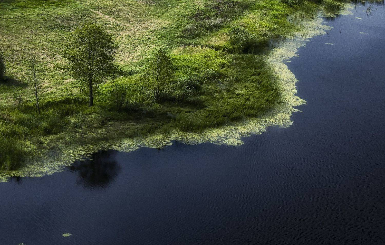 лето,минимализм,брянскаяобласть,день, Павел Ныриков