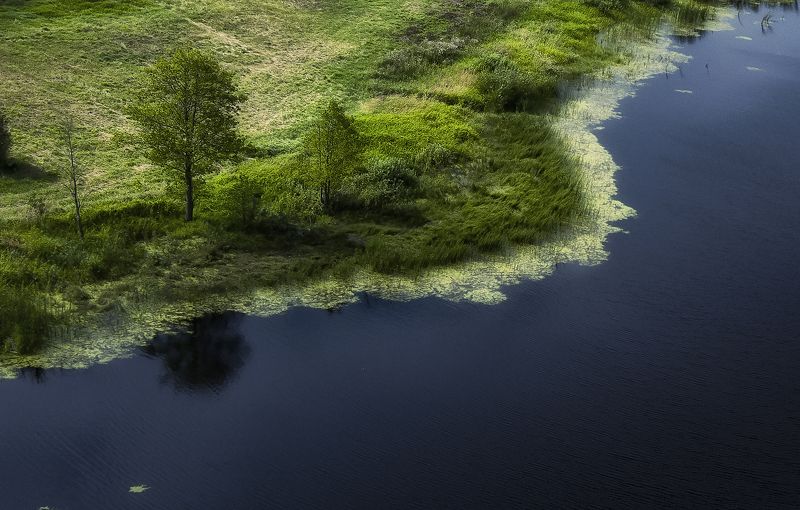 лето,минимализм,брянскаяобласть,день А на том берегу.. фото превью