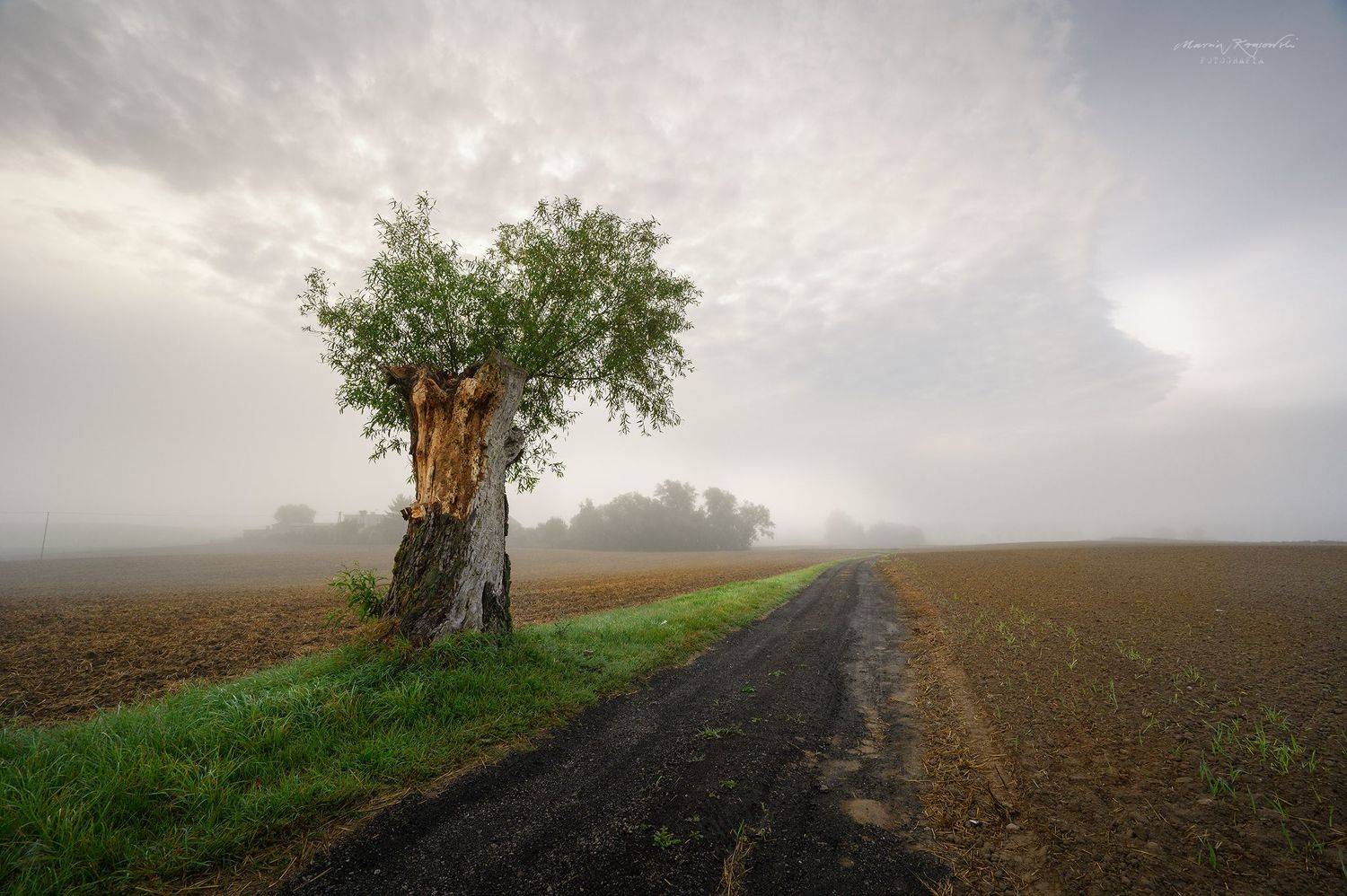 , Marcin Krasowski