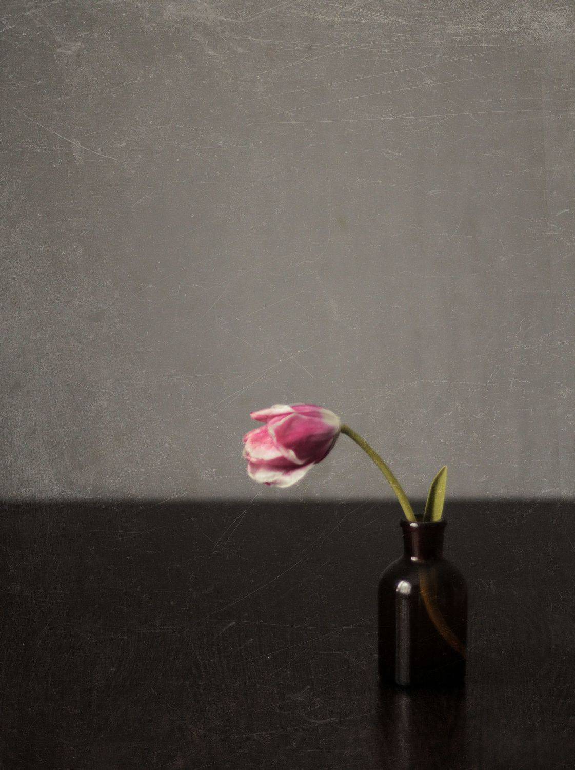 натюрморт,stillife, Bubblegum