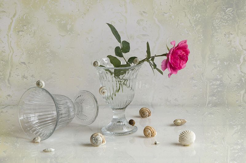 Дождливое лето фото превью