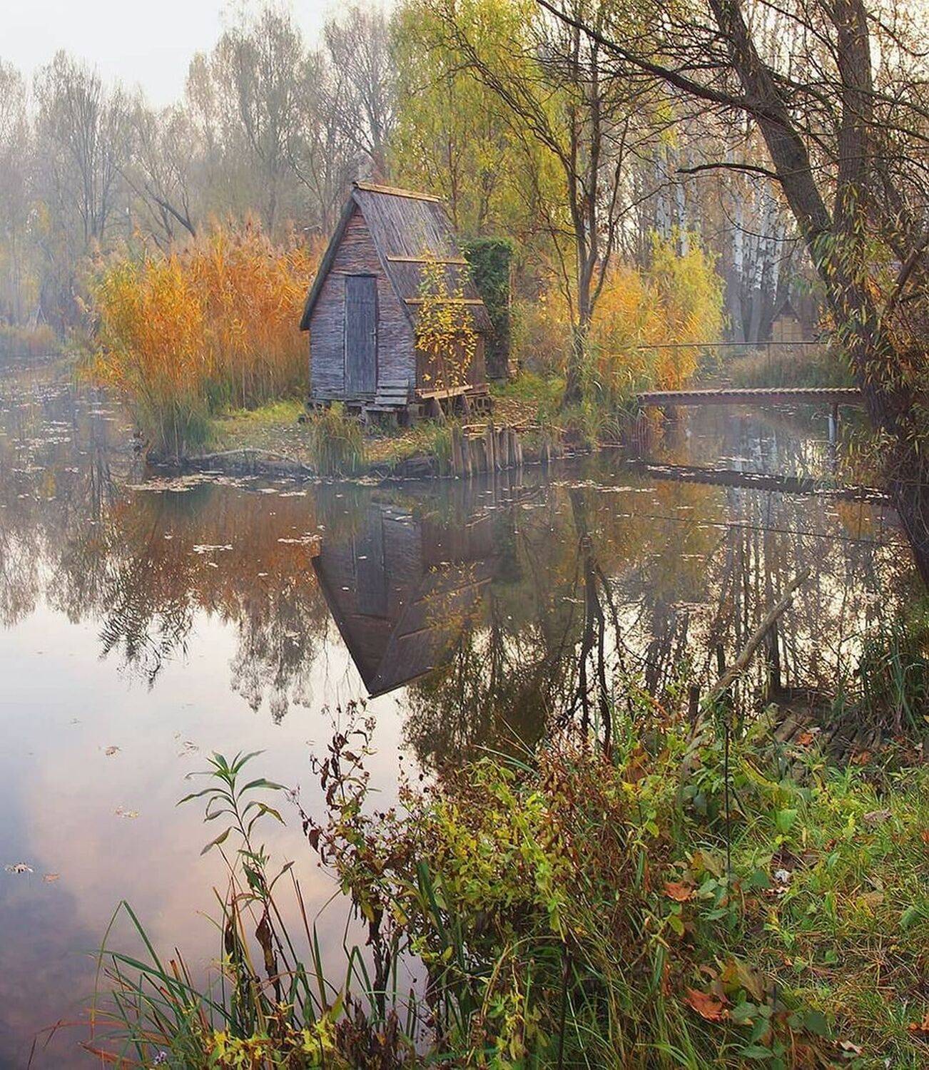 осень, туман. утро, деревня, Петр Косых