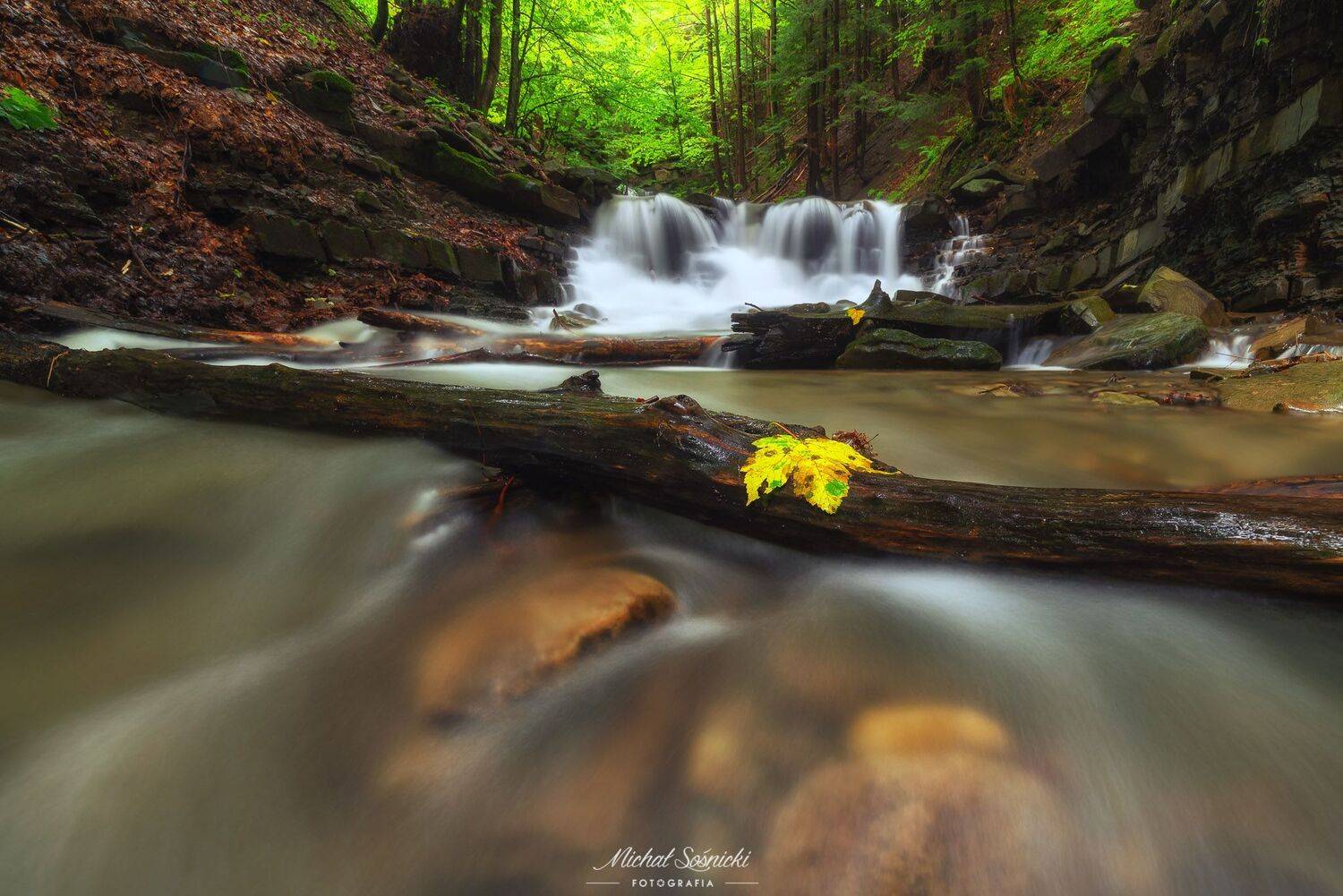 #tree #mountains #summer #sunset #wood #nature #amazing #earth #pics #photo #best #poland #waterfall, Michał Sośnicki