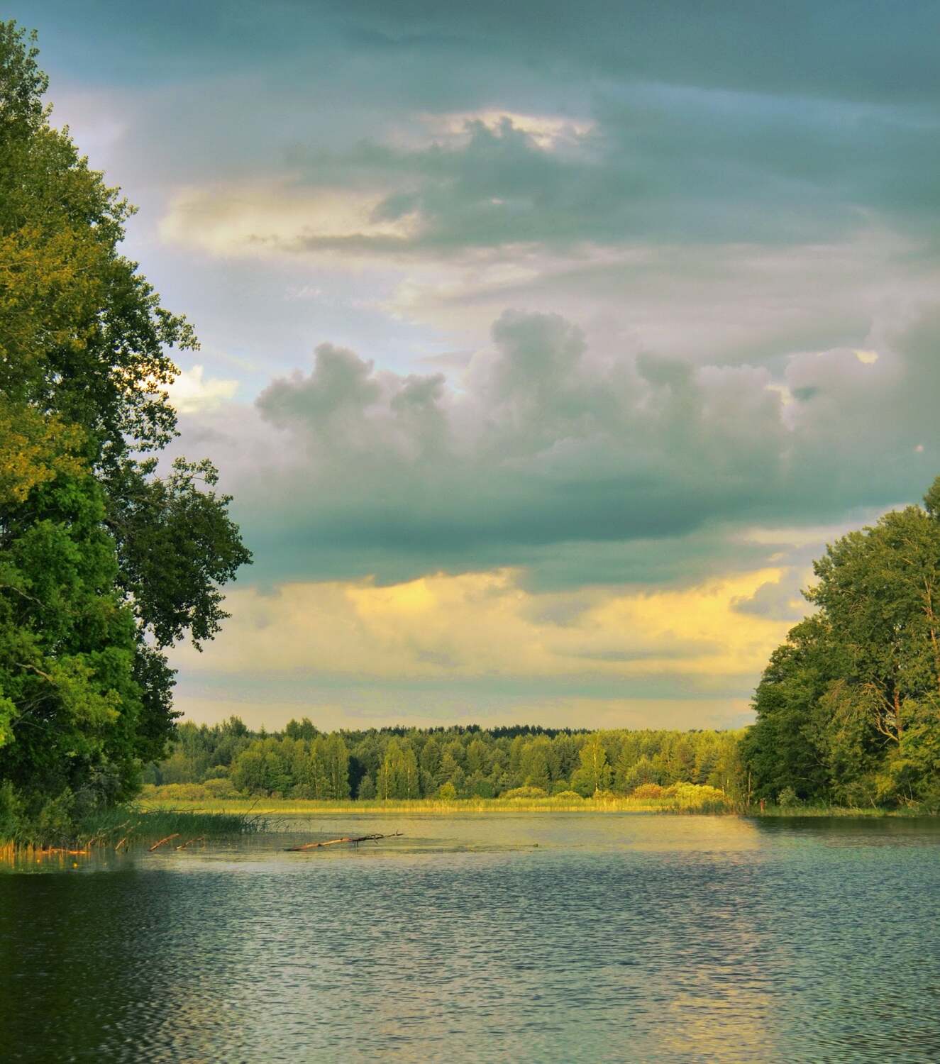 , Михаил Новиков