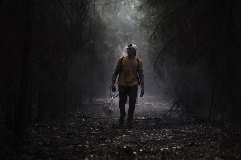 Волонтер фото превью