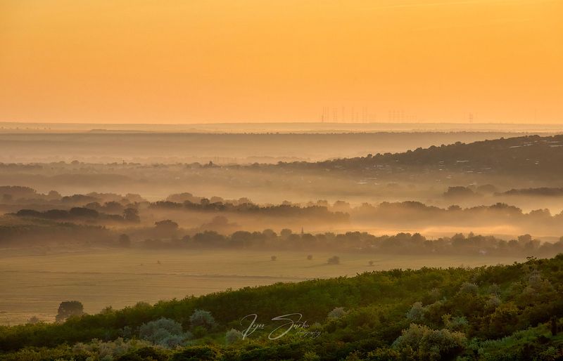Yellow fog фото превью