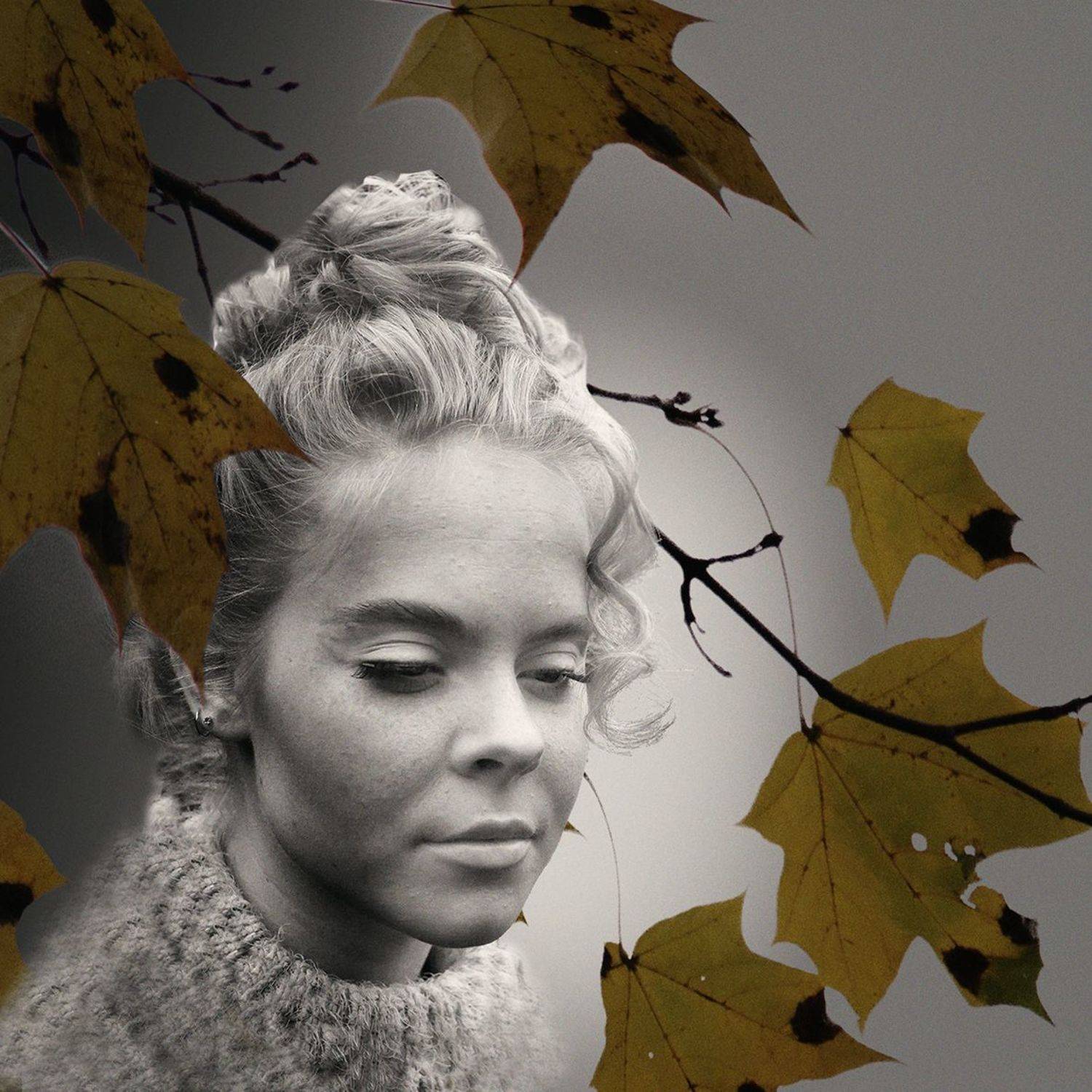 , T. Bondarenko