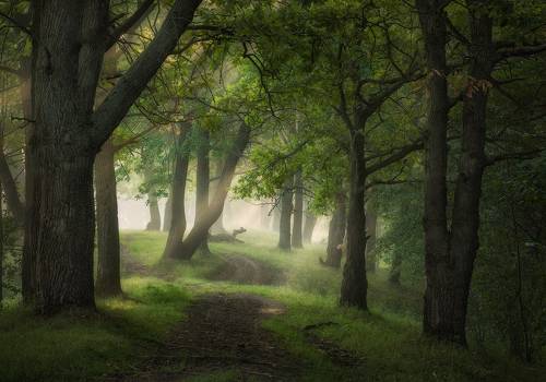 По пути уходящего лета