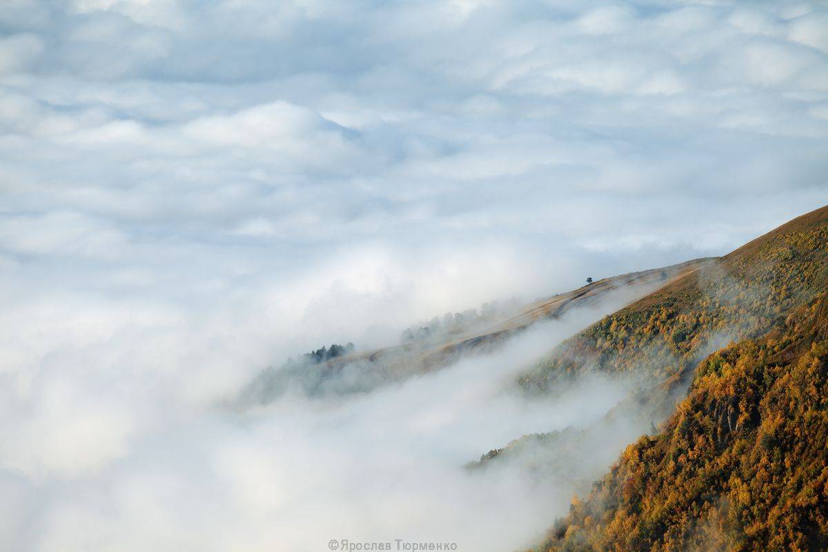 , Ярослав Тюрменко (Jaremi)