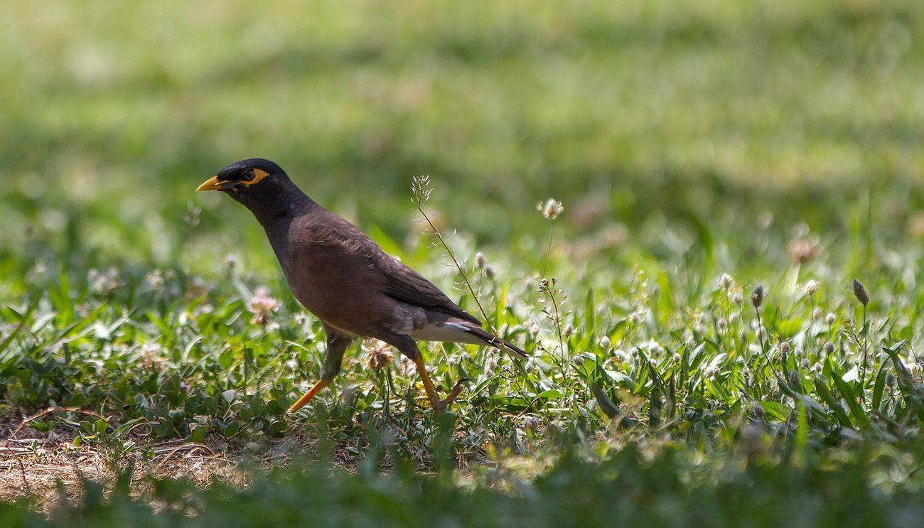 , Валентина Булкина