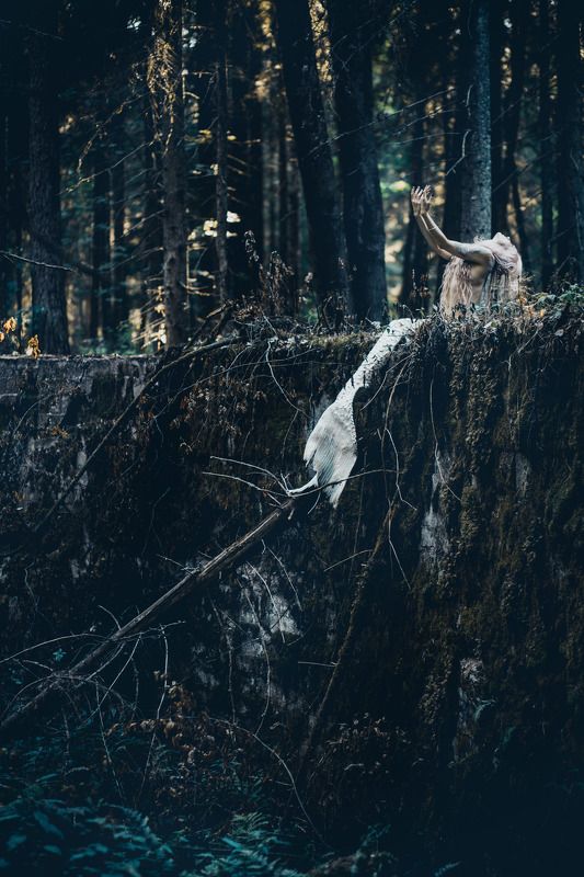 артню Русалка фото превью