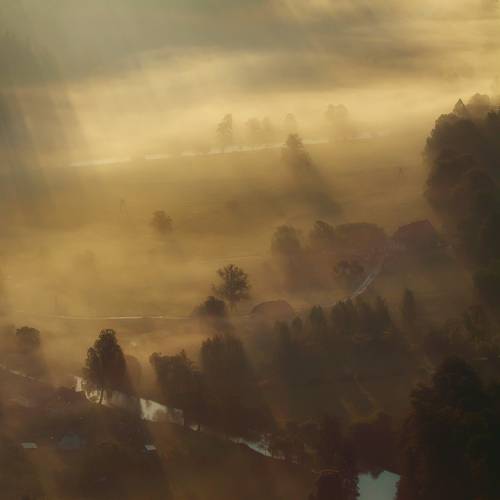 Summer Light...