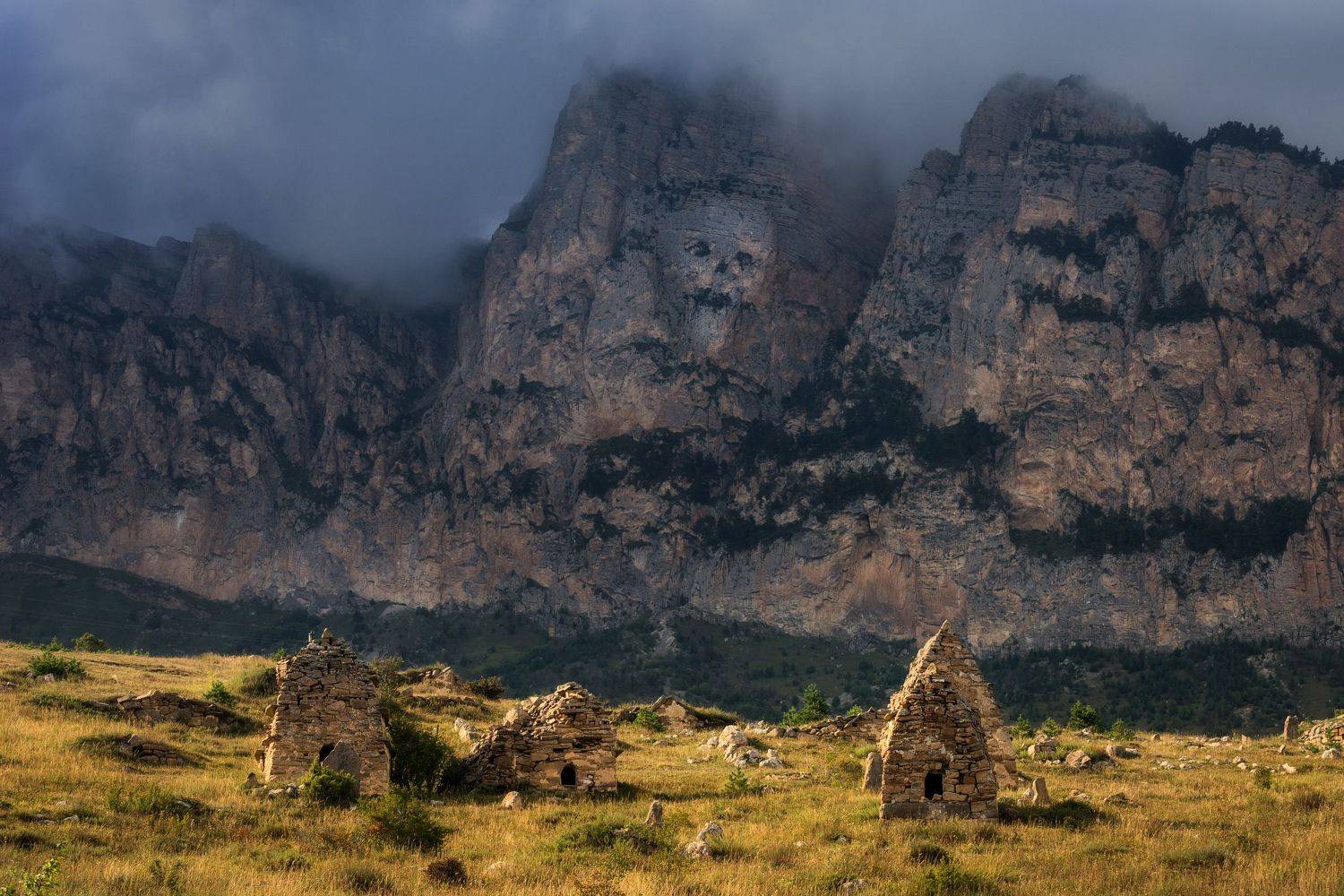 , Михаил Туркеев