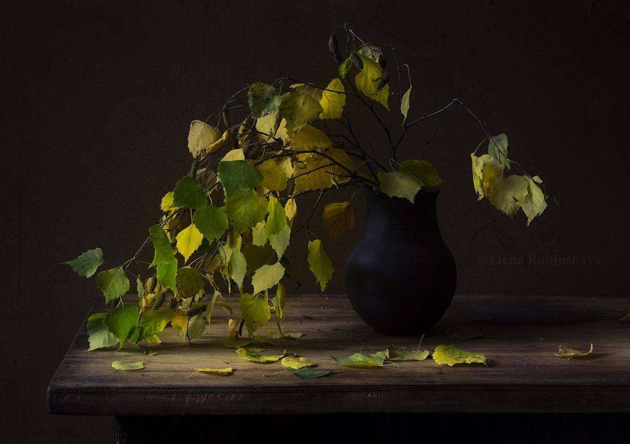 , Елена Рубинская