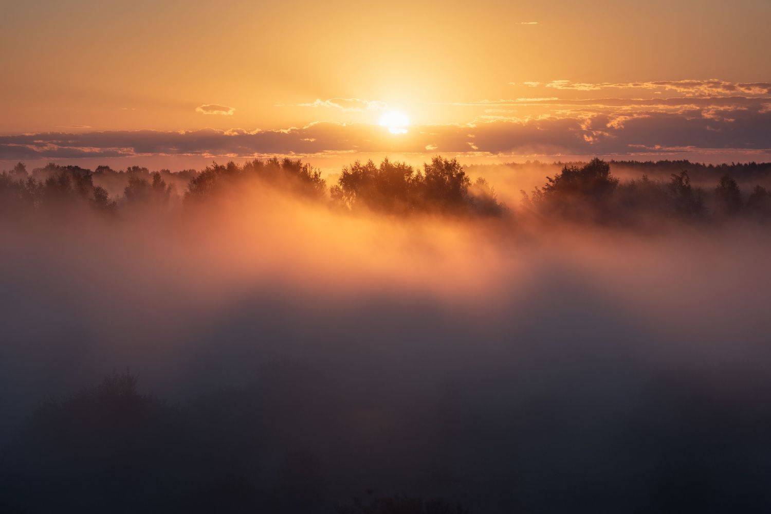 , Дмитрий Виноградов