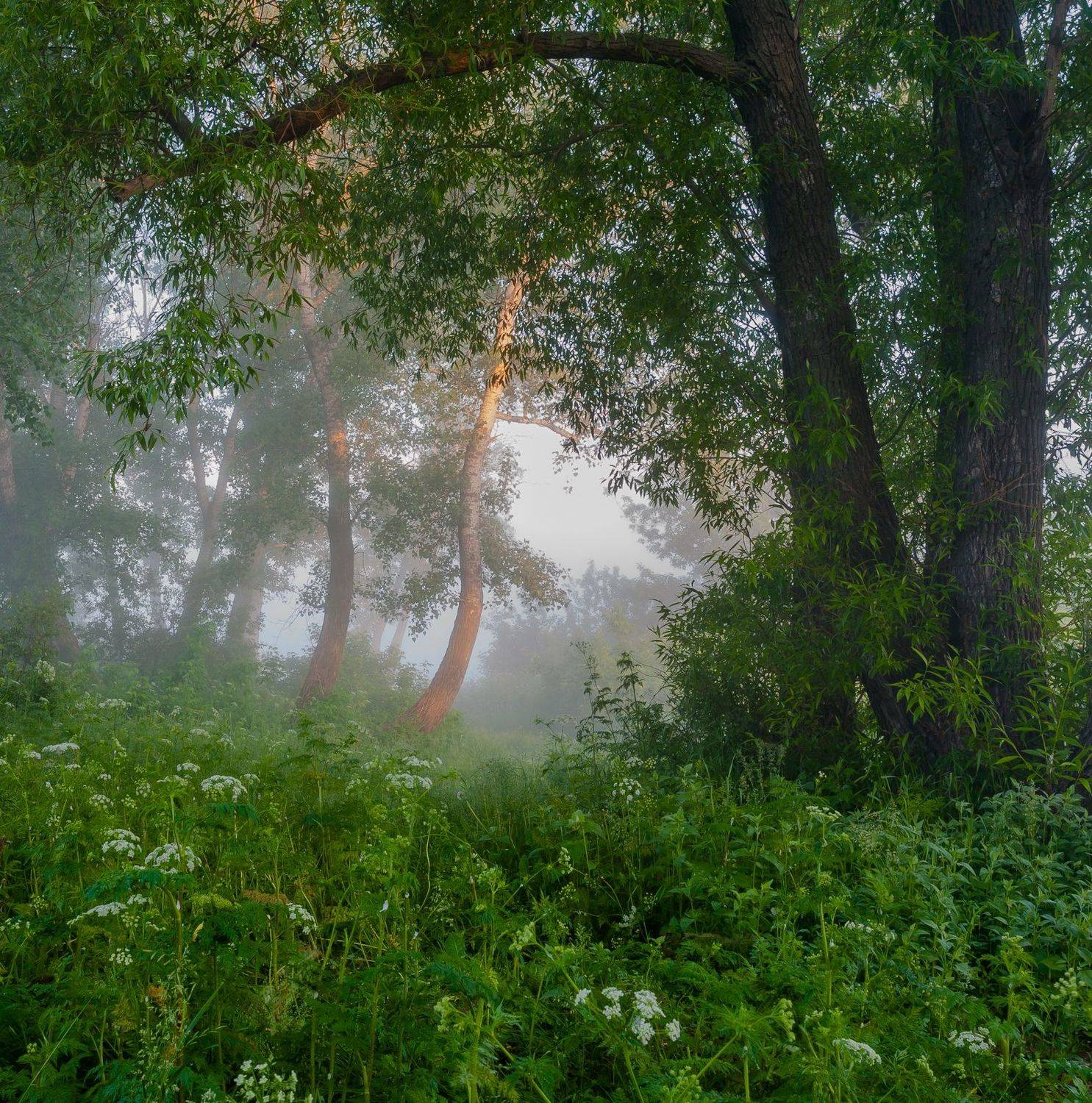 , Юрий Морозов