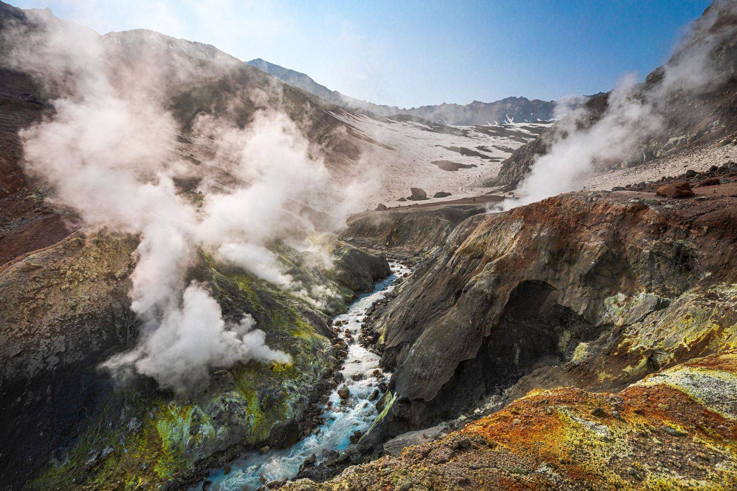 , Логунов Максим