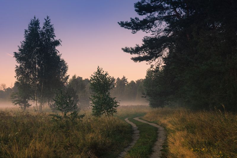 луг, лето, август, рассвет, туман Зябкие ночи, скупые рассветы фото превью