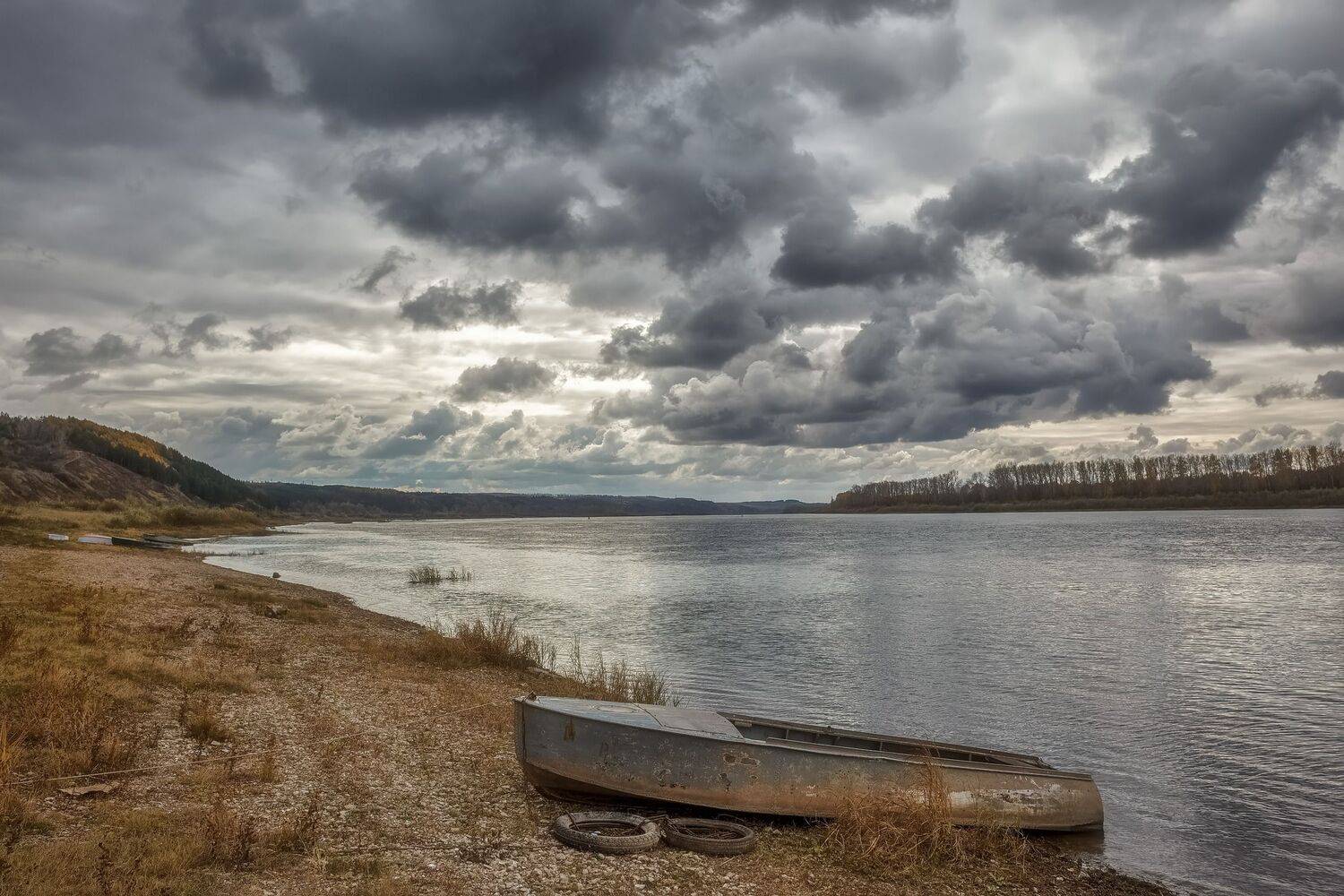 , Алексей Никитин