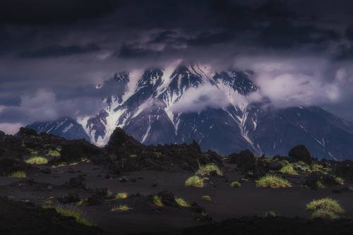 Хмурая Удина