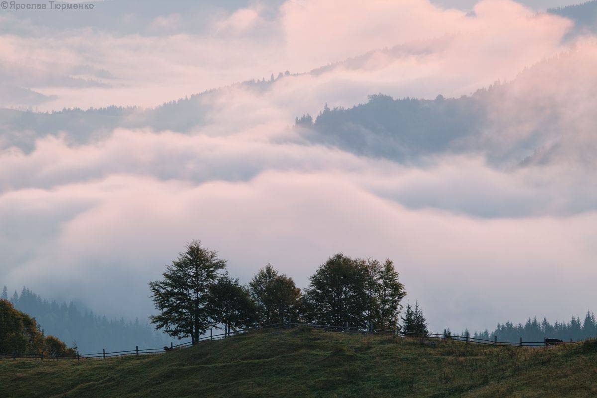 , Ярослав Тюрменко (Jaremi)