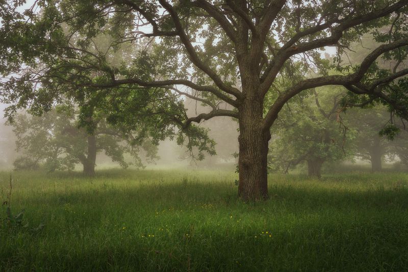 Моменты тишины фото превью