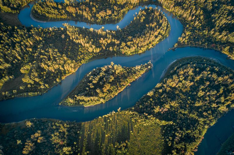 Рыба фото превью