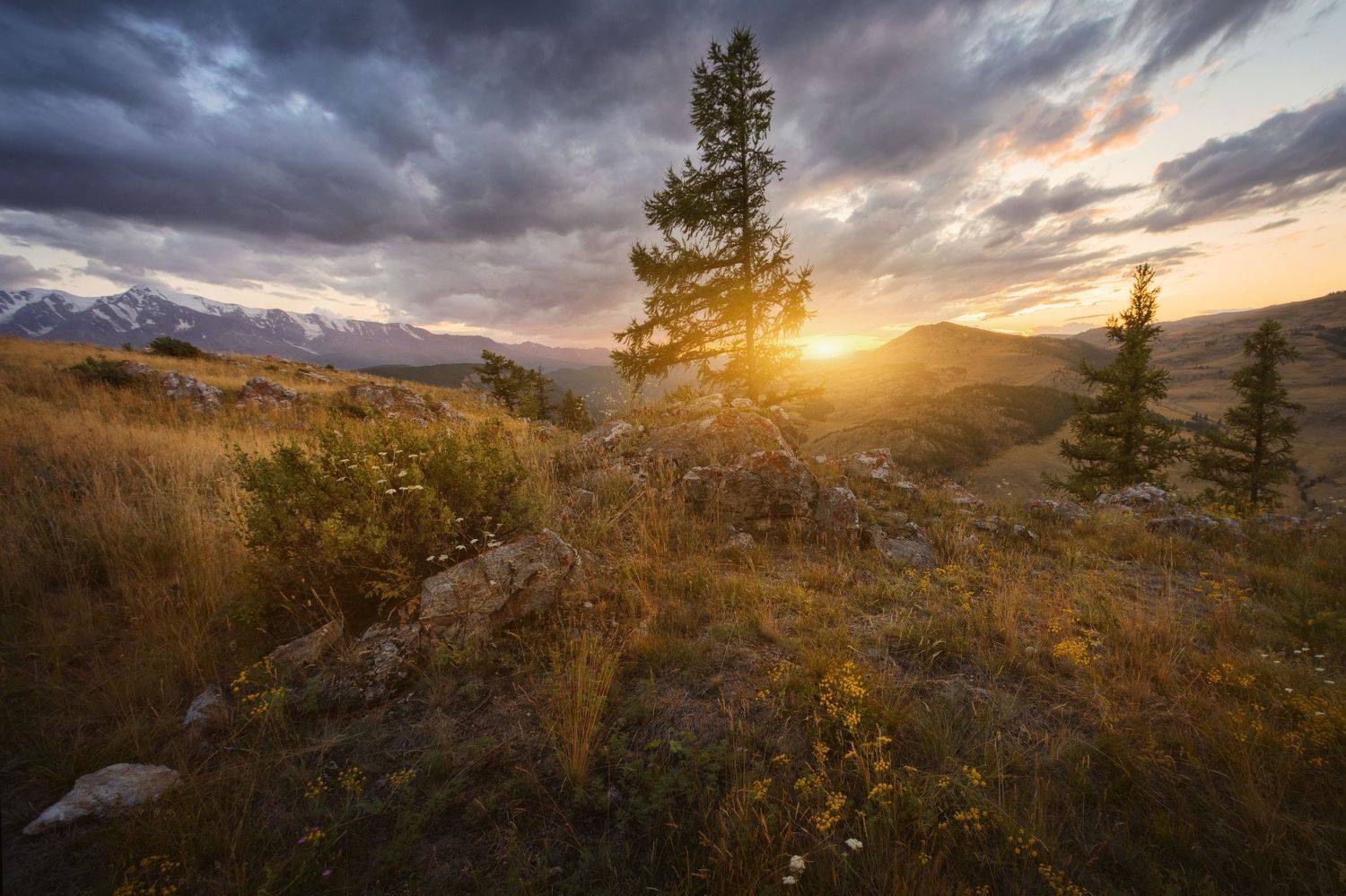 алтай, озеро, горы, лес, природа, закат, рассвет, красота, приключения, путешествие, Шевченко Николай
