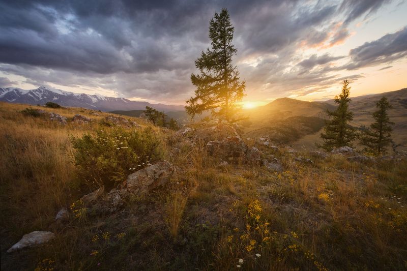 Закаты Курая фото превью