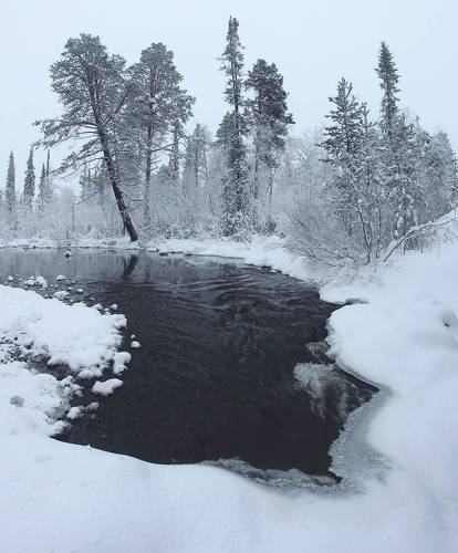 50 оттенков серого