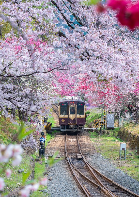 Spring Train  фото превью