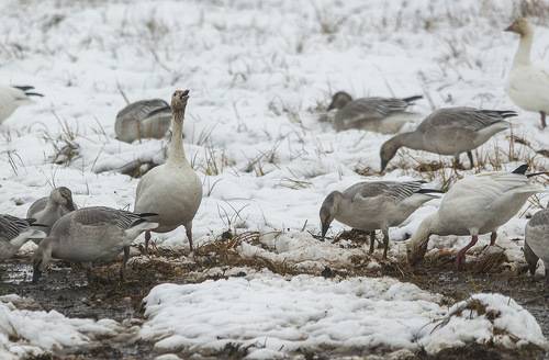 Вот такой конец лета....