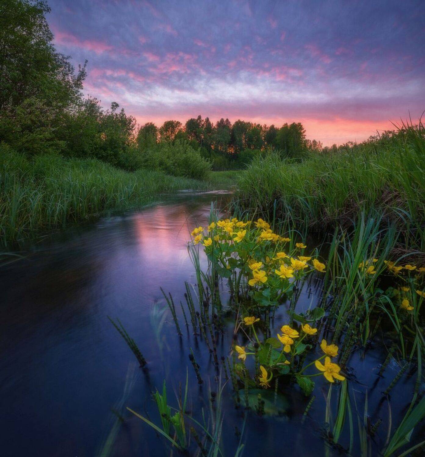 , Устюжанин Михаил