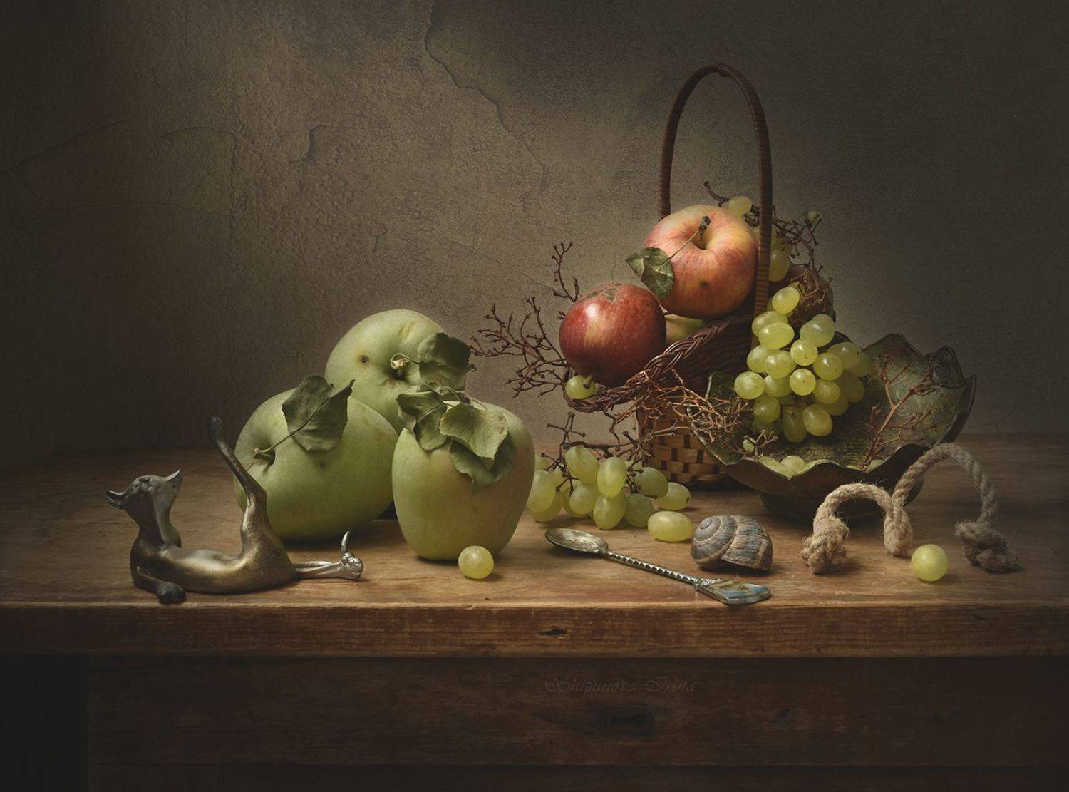 , Шипунова Ирина