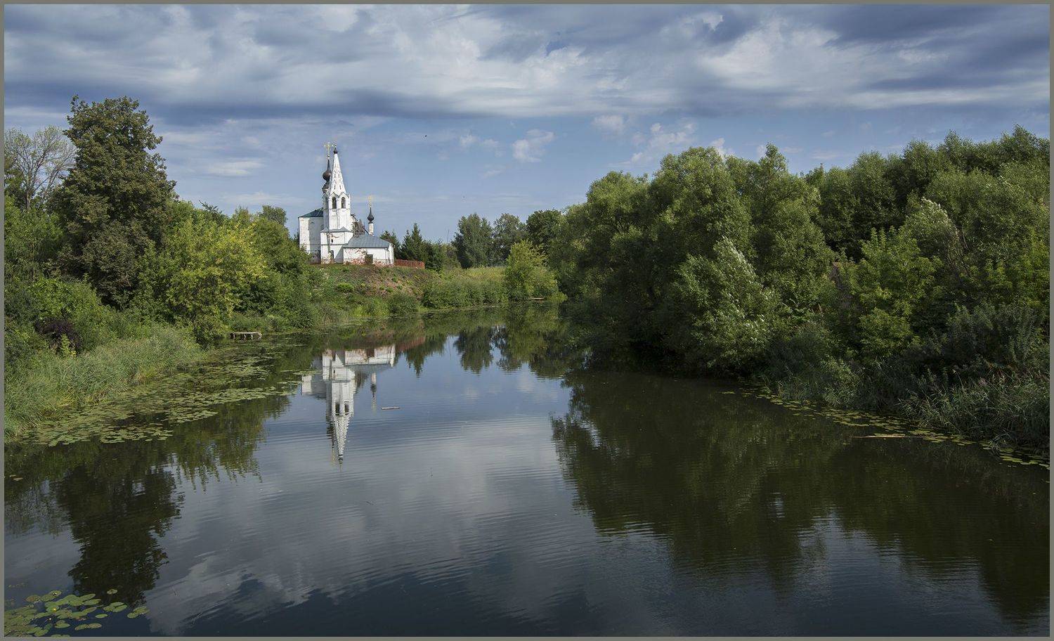 , cordovan