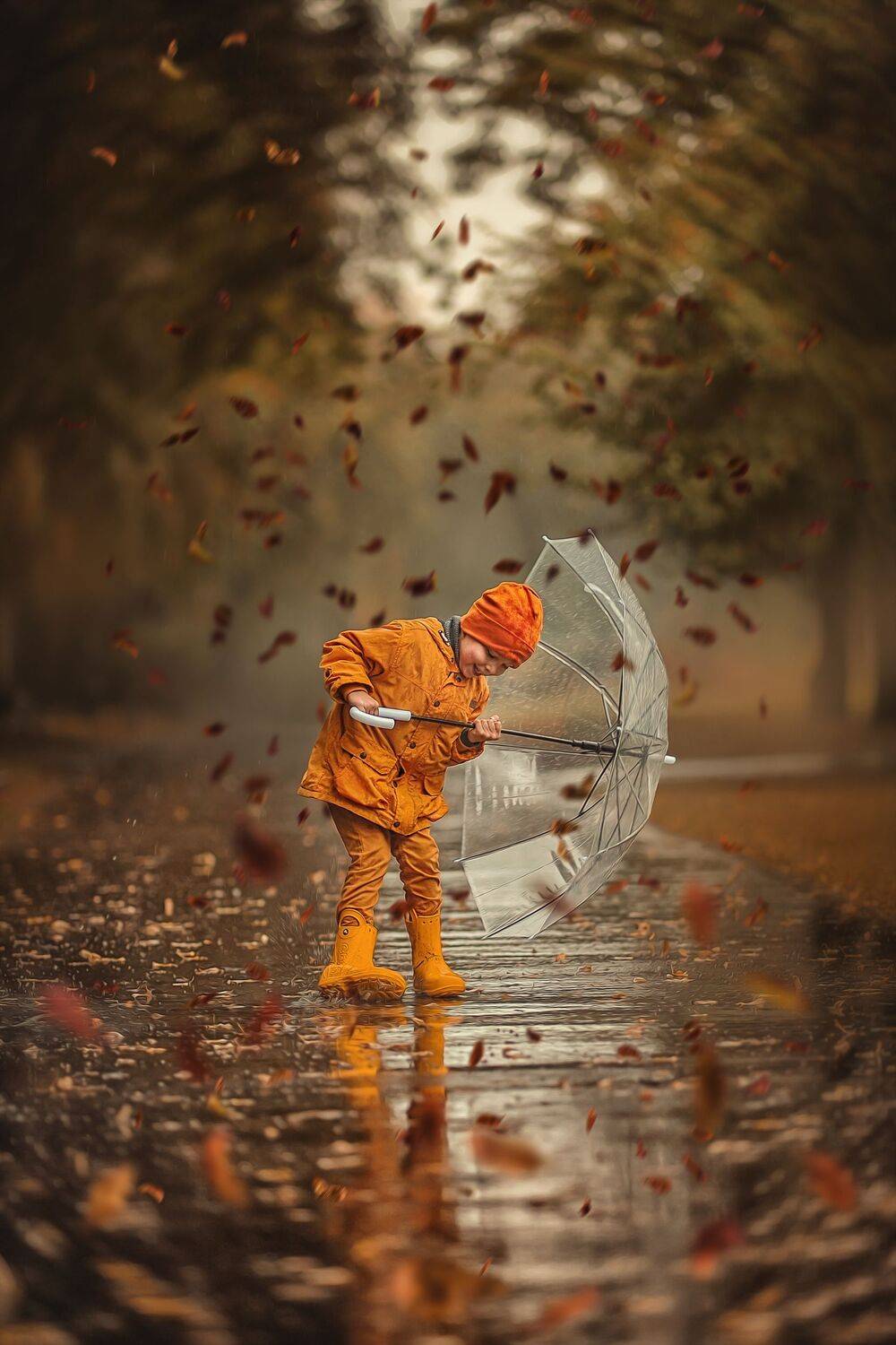 , Ксения Лысенкова