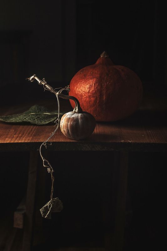 . фото превью