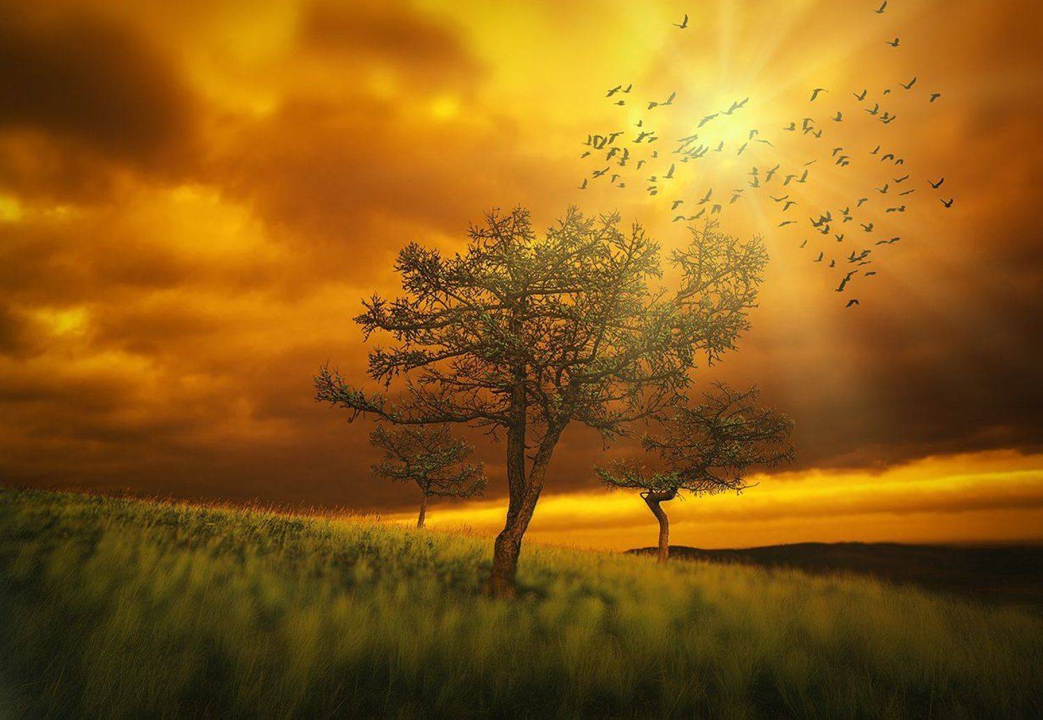 , Александр Сысуев