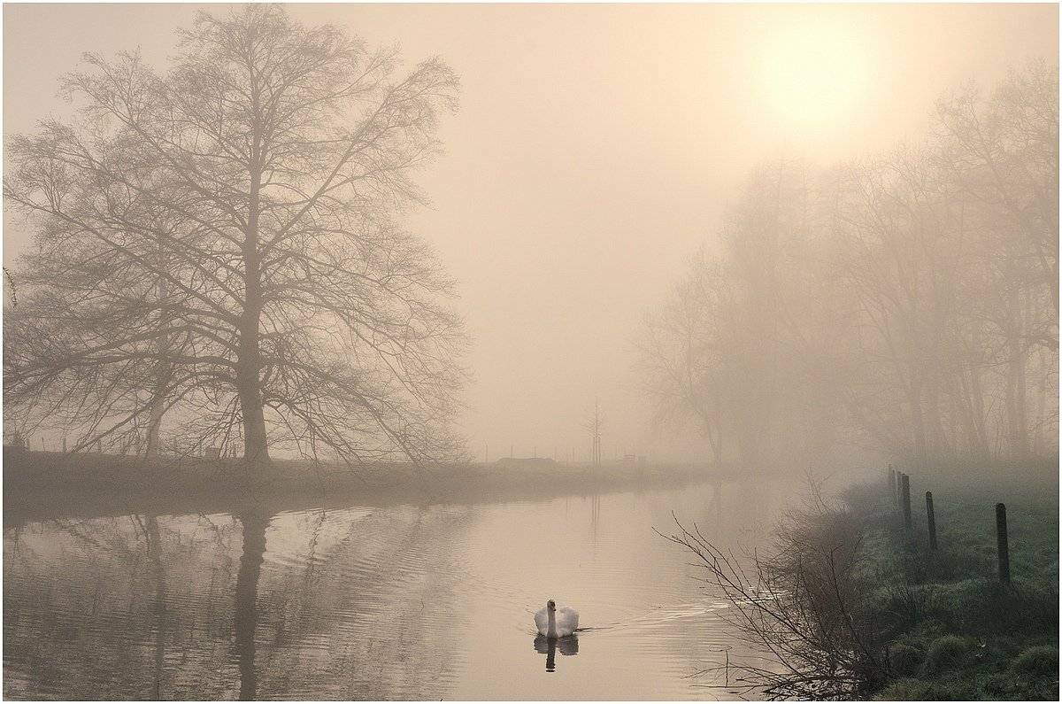 , Johny Hemelsoen